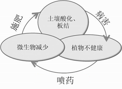 化肥不等于科學(xué)，請客觀評判！